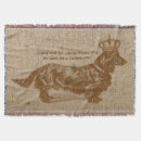 Recherche de teckel Mignon