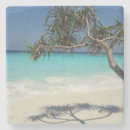 Recherche de plage sablonneuse dessous de verres Tropical