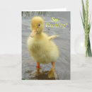Recherche de caneton vœux cartes Mignon