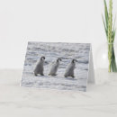 Recherche de pingouin antarctique vœux cartes Penguin empereur