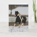 Recherche de cob cartes postales Poney