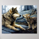 Recherche de loups sauvages posters Animaux