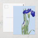 Recherche de peintures japonaises cartes postales Iris