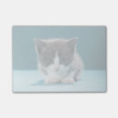Recherche de nosy posters Regard