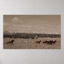 Recherche de chevaux sauvages posters Sauge