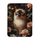Recherche de chats siamois magnets Pour tous