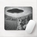 Recherche de invasion tapis souris Chaton