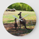 Recherche de kangourou horloges Marsupial