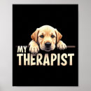 Recherche de drôle de laboratoire Labrador