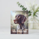 Recherche de poil cartes postales Mignon