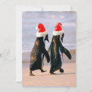 Recherche de pingouins noël cartes Faune