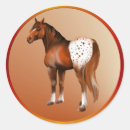 Recherche de appaloosa autocollants Chevaux