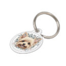 Recherche de yorkie animaux articles Dogs