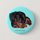 Recherche de saucisses badges Weiner
