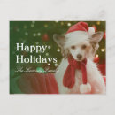 Recherche de animal familier cartes postales Amusement