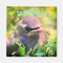 Recherche de jeunesse magnets Inspirant
