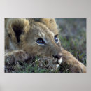 Recherche de fotografie posters De