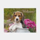 Recherche de le beagle terrasses jardins Chien