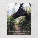 Recherche de chemins cartes postales Littoral