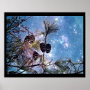 Recherche de sous les étoiles posters Ciel nocturne