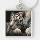 Recherche de tigre blanc porteclés Sauvage