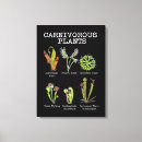 Recherche de carnivore art Plantes carnivores