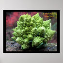 Recherche de brocoli art Nourriture