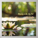 Recherche de harmonie photographie Photographie de la nature