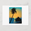 Recherche de huttes cartes postales Palmier