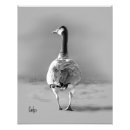Recherche de canada goose posters Oiseaux
