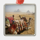 Recherche de chameau ornements Ancien