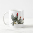 Recherche de poules tasses Poulets
