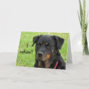 Recherche de têtu vœux cartes Encouragement