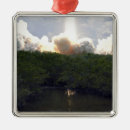 Recherche de space ornements Centre spatial kennedy