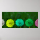 Recherche de magenta posters Bleu