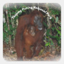 Recherche de le bornéo autocollants Animaux
