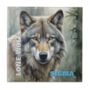 Recherche de loup carreaux Contenu générationnel