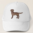 Recherche de labrador retriever casquettes Animal