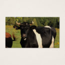 Recherche de taureaux cartes visite Animal