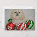 Recherche de shih tzu christmas vœux cartes Animaux domestiques