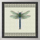 Recherche de mouche de dragon art Damoisses
