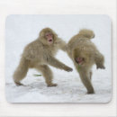 Recherche de jouant tapis souris Singe