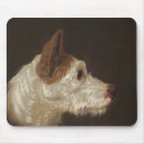 Recherche de race tapis souris Chien de chasse