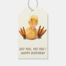 Recherche de caneton Canard mignon