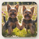 Recherche de yorkshire dessous de verres Terriers