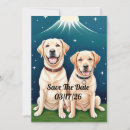 Recherche de labrador invitations Récupérateur