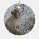 Recherche de monkey ornamente Faune