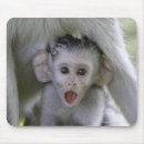 Recherche de babouin tapis souris Animal