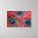 Recherche de paon art Rouge