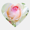 Recherche de rosas autocollants Pour elle